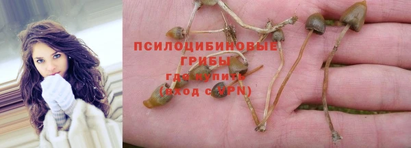 первитин Лагань