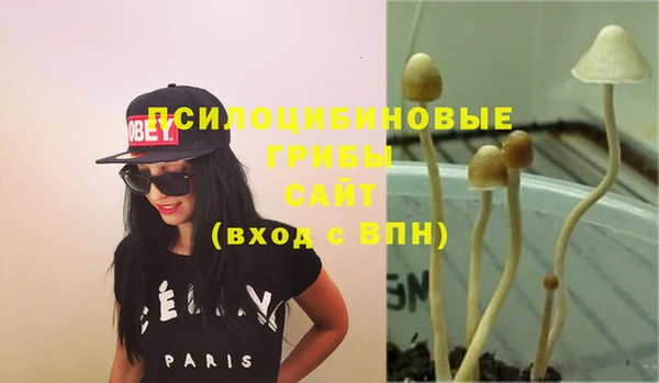 apvp Лабытнанги